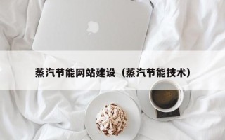东至蒸汽节能网站建设（蒸汽节能技术）
